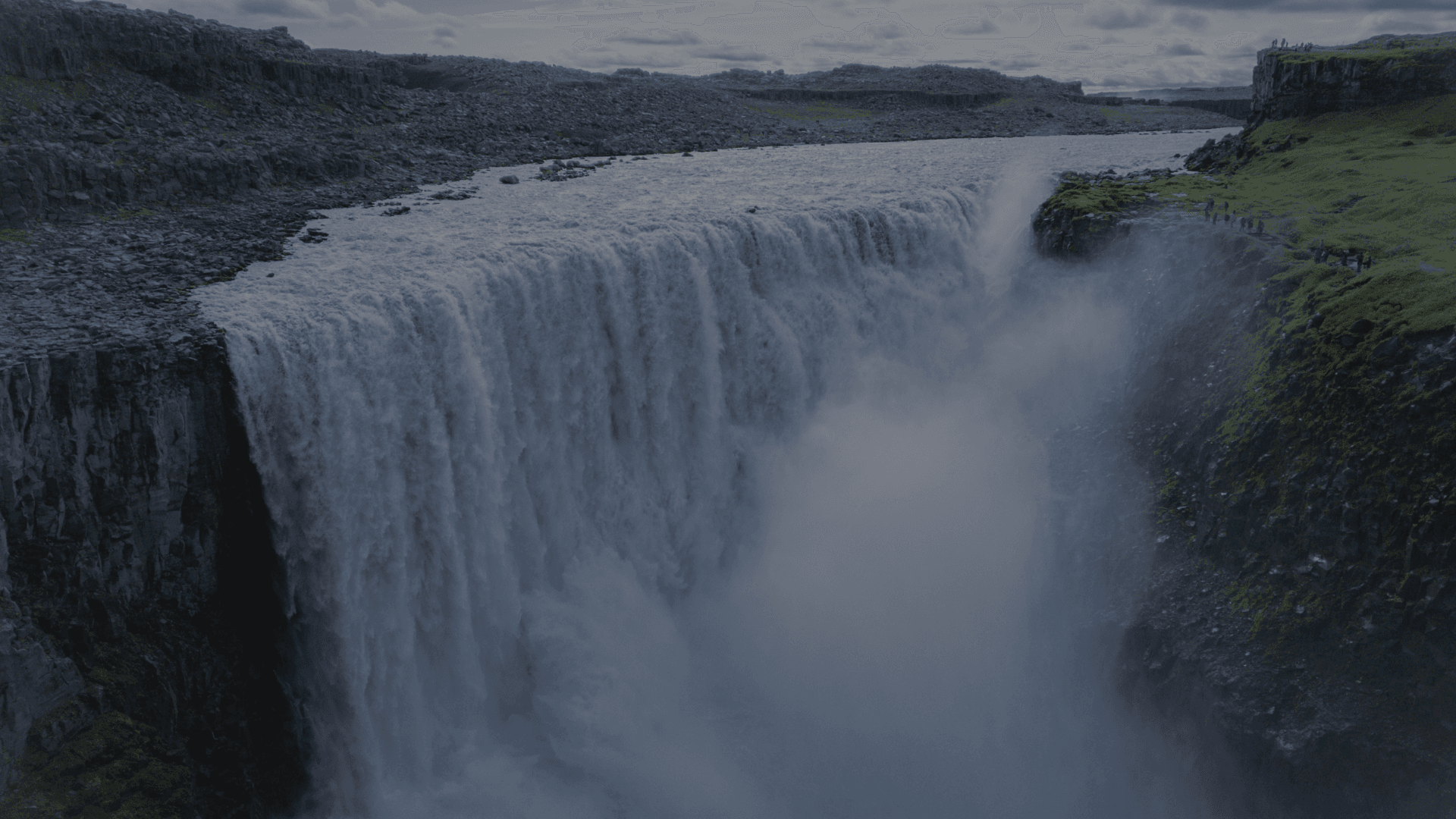 a crowd of people watching a fireworks display