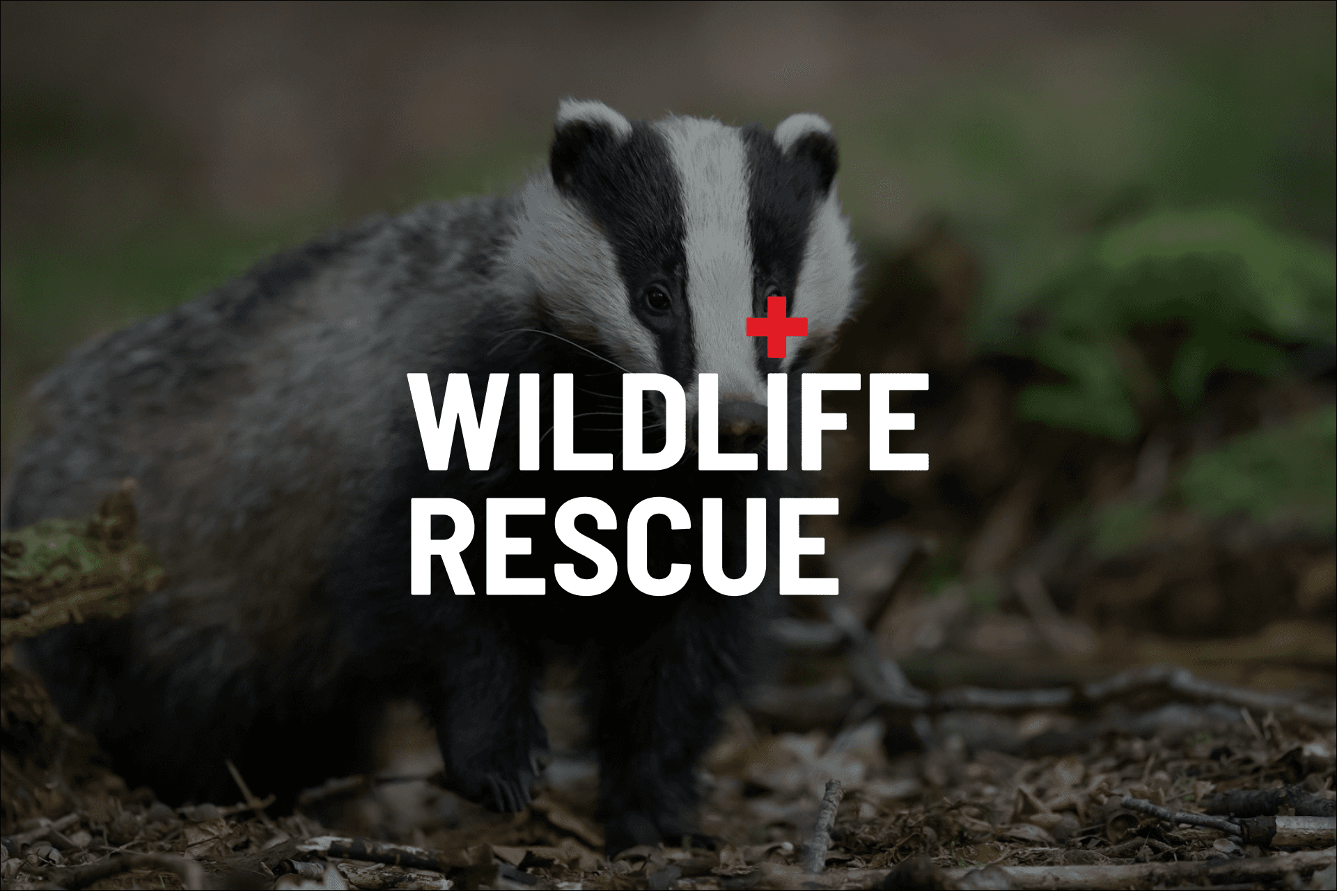 Sample image from a project