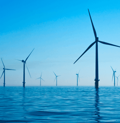 Offshore wind farm