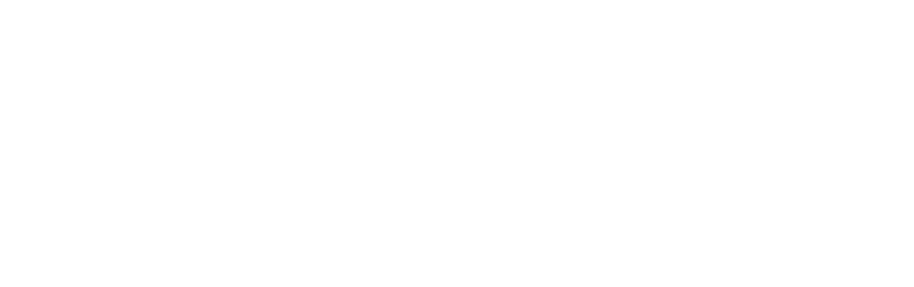 Border Industrial Solutions