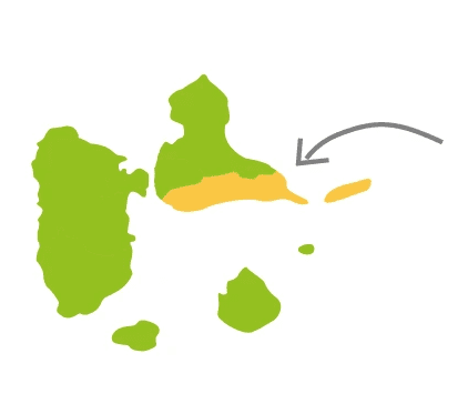 moule-canne-a-sucre-yohel