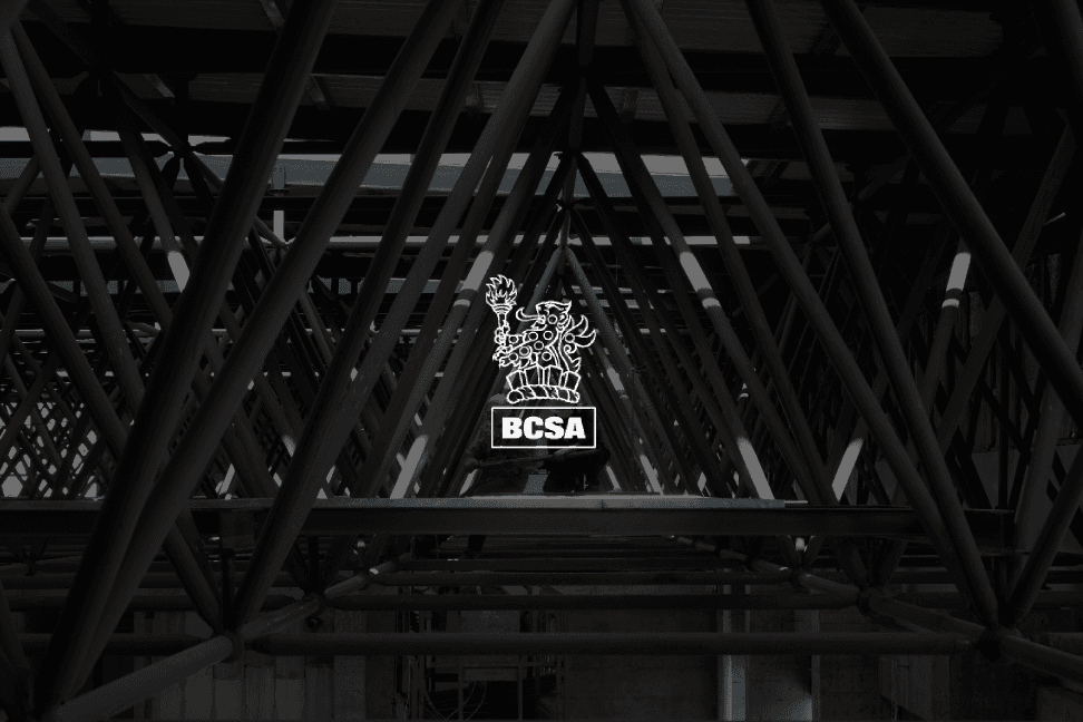 VP Foam Spray x BCSA