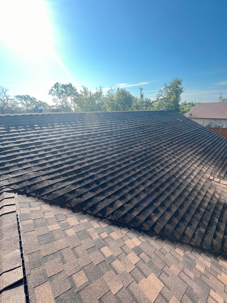 shingles roof