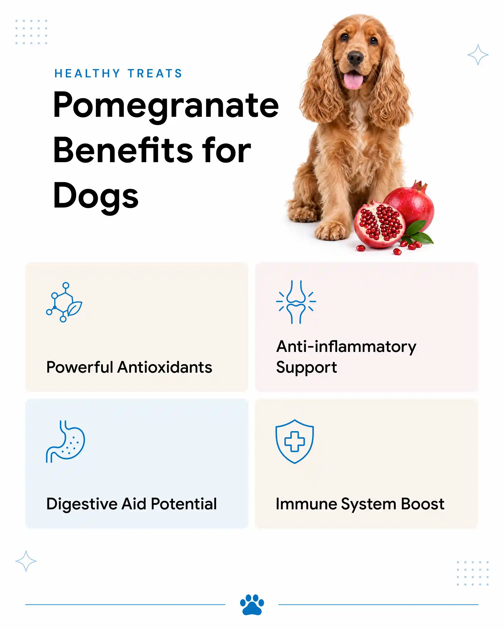 Benefits of pomegranate for dogs