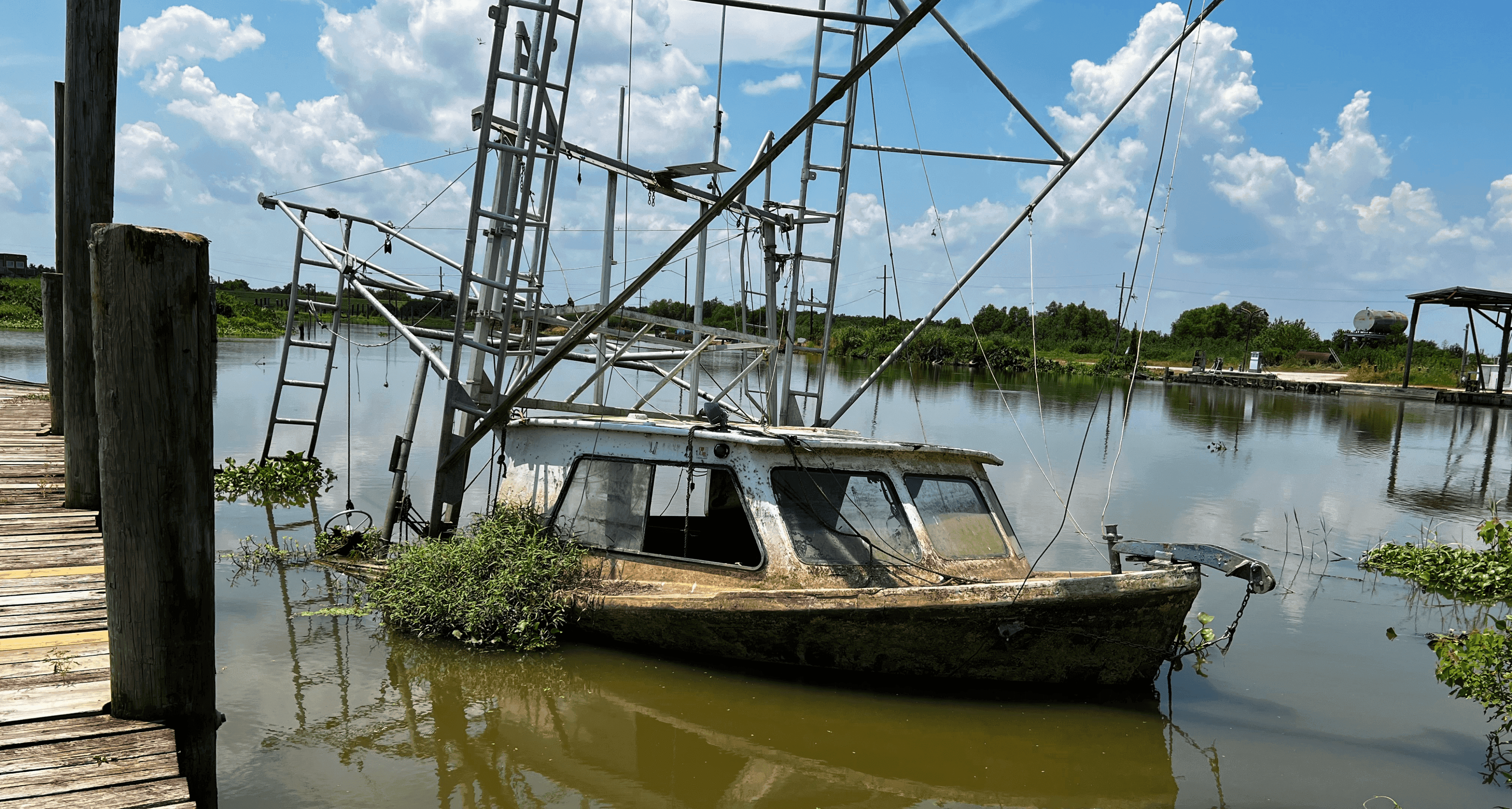 Harm in the water river photo