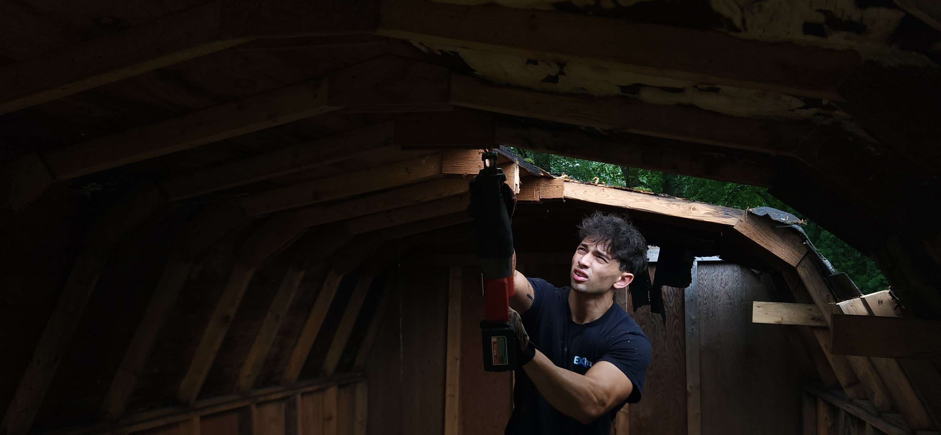 Shed Removal