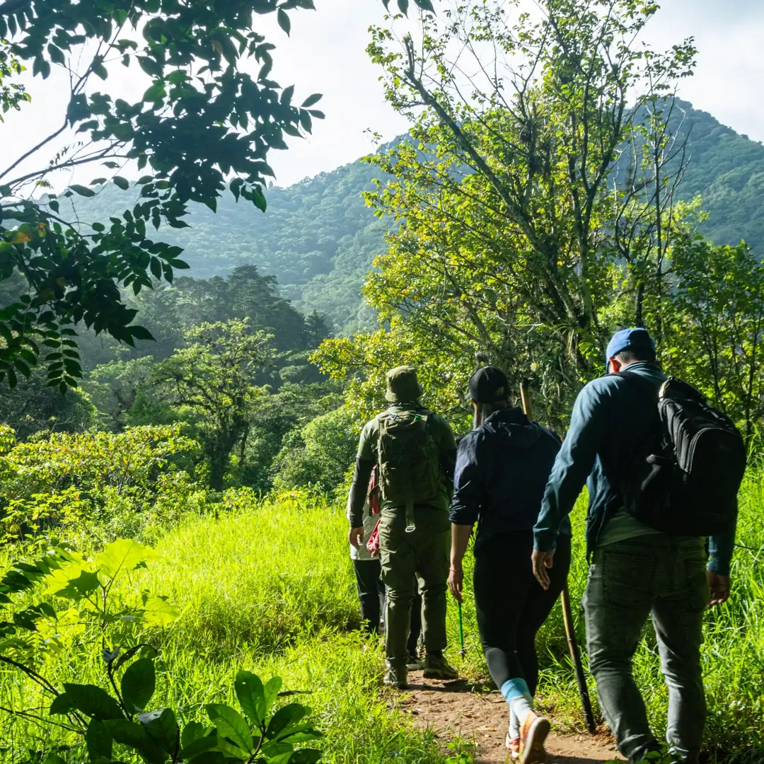 Grupo de senderistas siguiendo el camino hacia la motaña