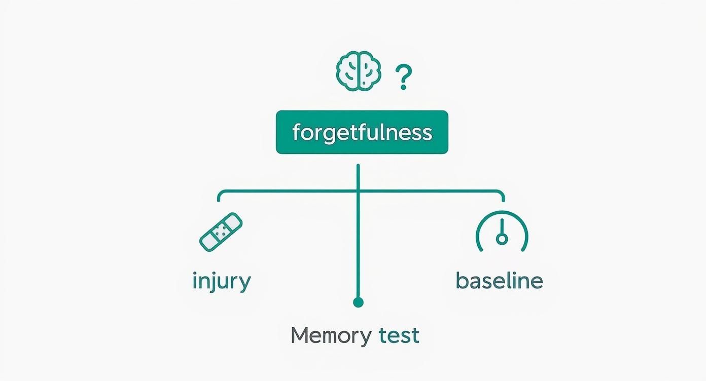 Infographic about test de la mémoire