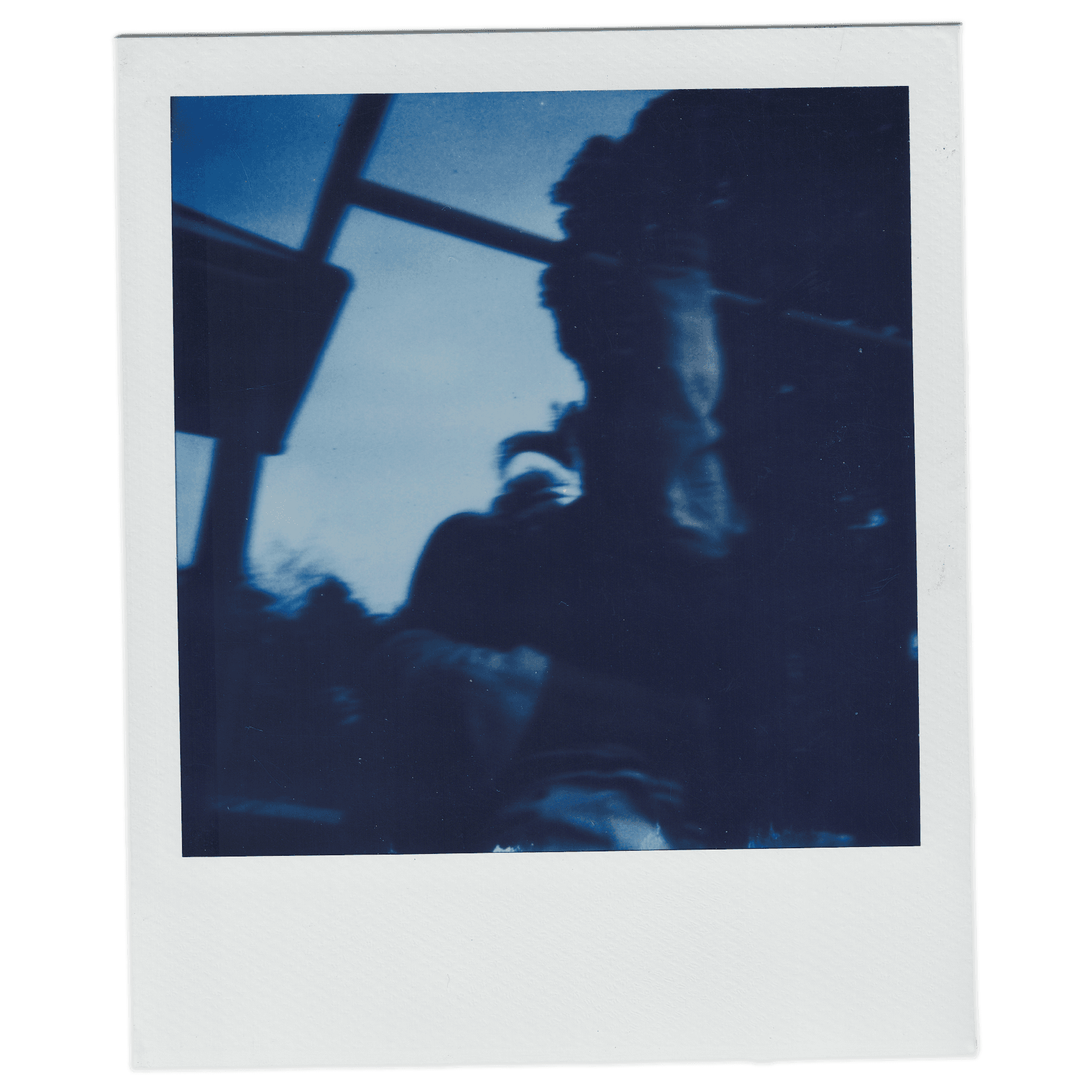 the polaroid taken by her father in alice childhood while her and her mother is playing