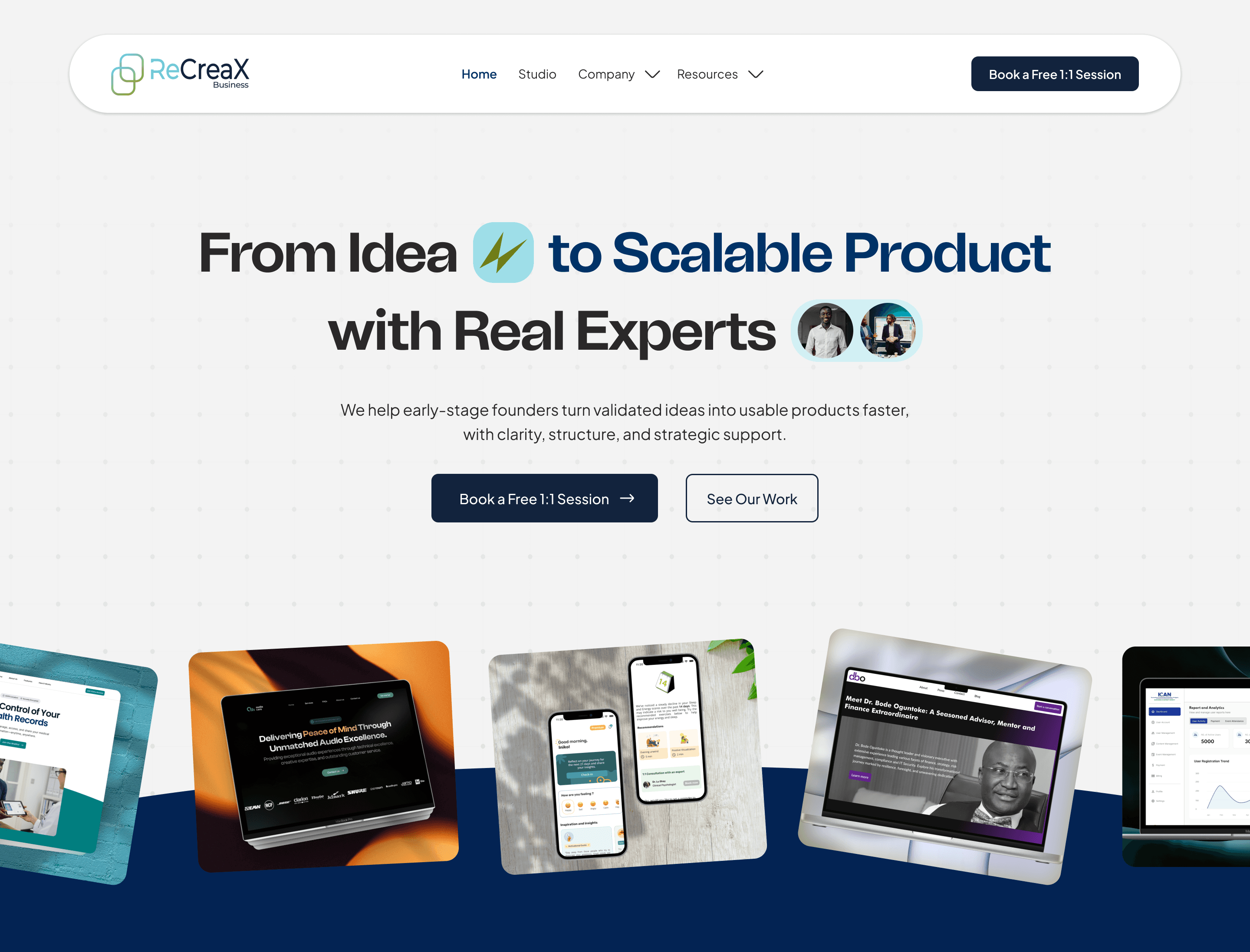 Close-up of lush, dark green leaves, some glossy and wet, against a muted background.