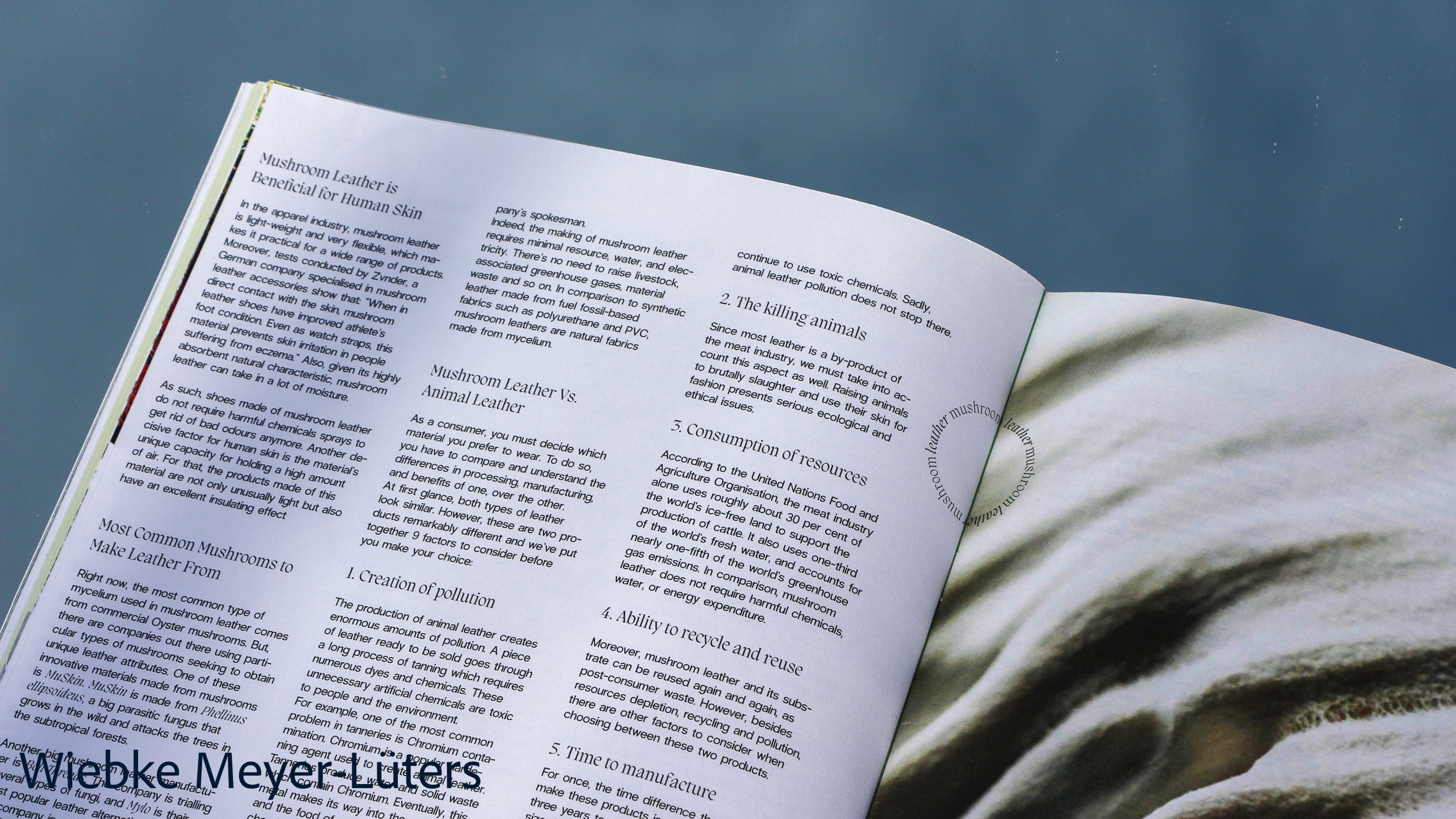 magazine spread, by wiebke meyer-luters