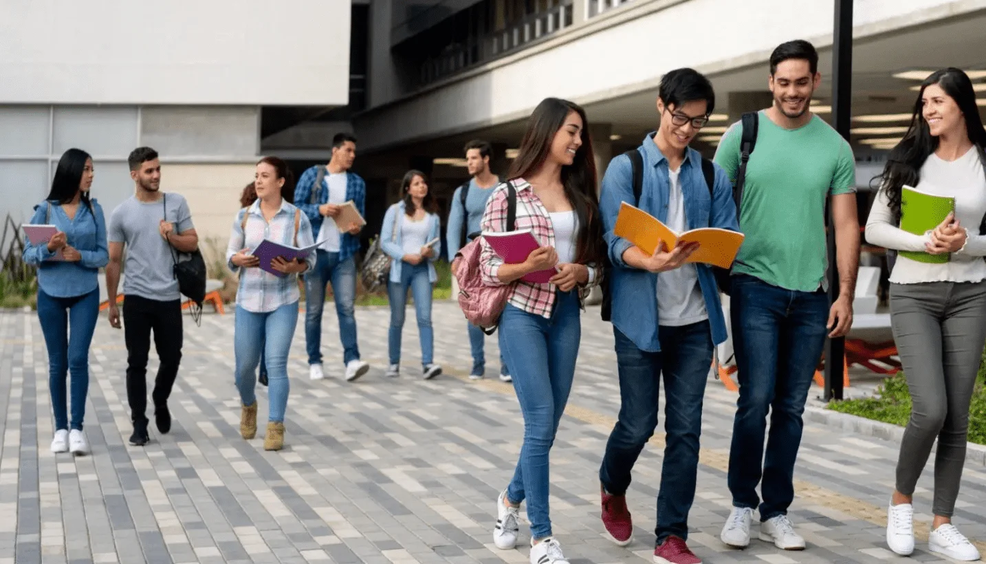 cover image for consultcnc website developed & designed by Dreams Agency Mississauga, Ontario