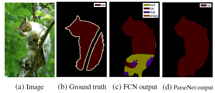 Ground truth, FCN output and ParseNet output shown using a picture of a cat on the tree