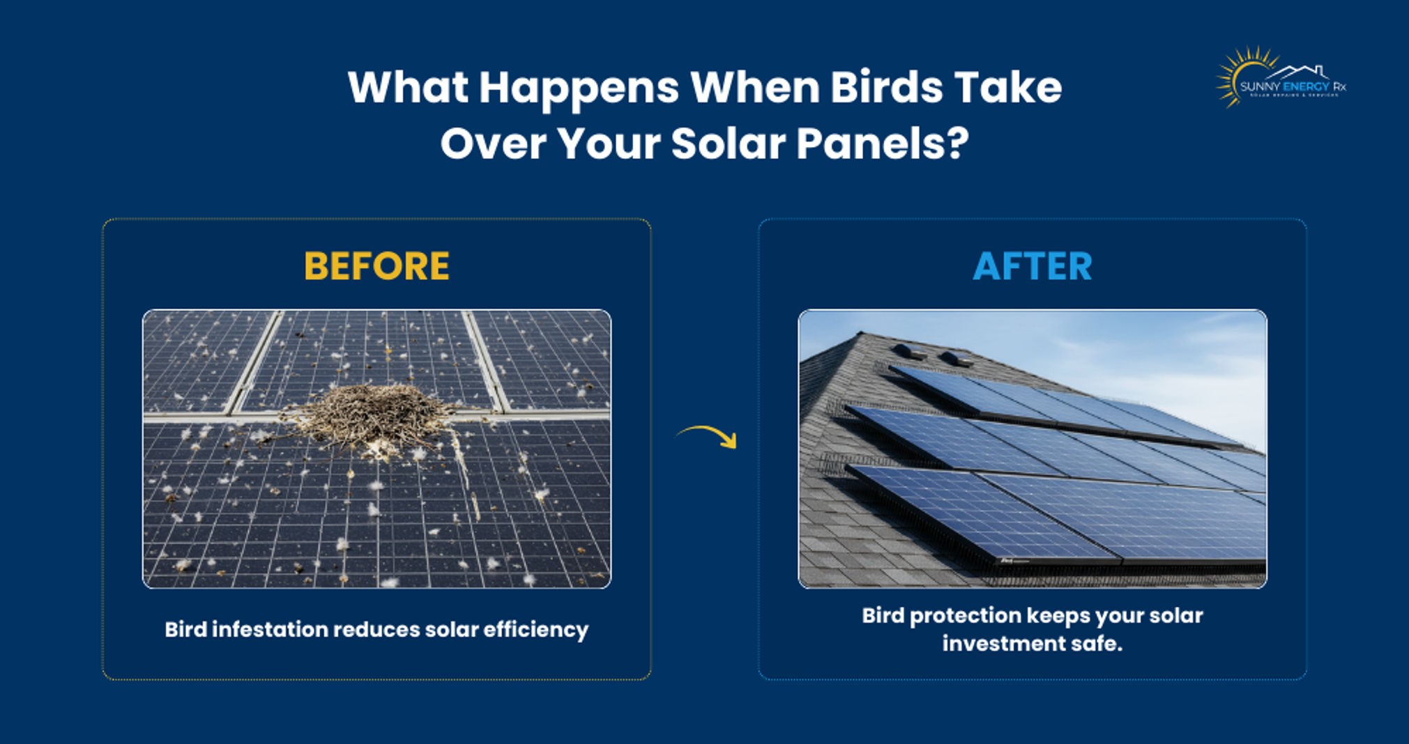 Before and after solar panels with bird proofing in Arizona