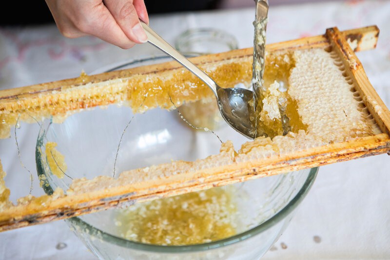 Copyright © Tiffany Lin - www.tiffanylinphotography.com