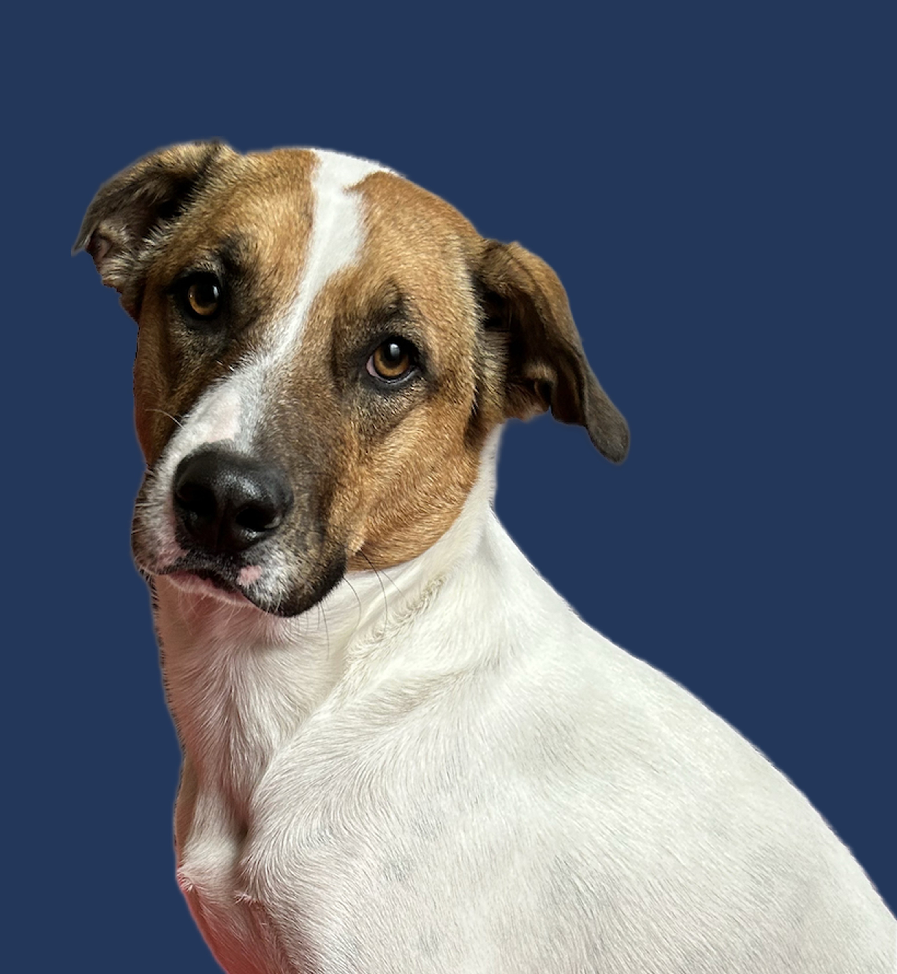 Driven by Purpose Image