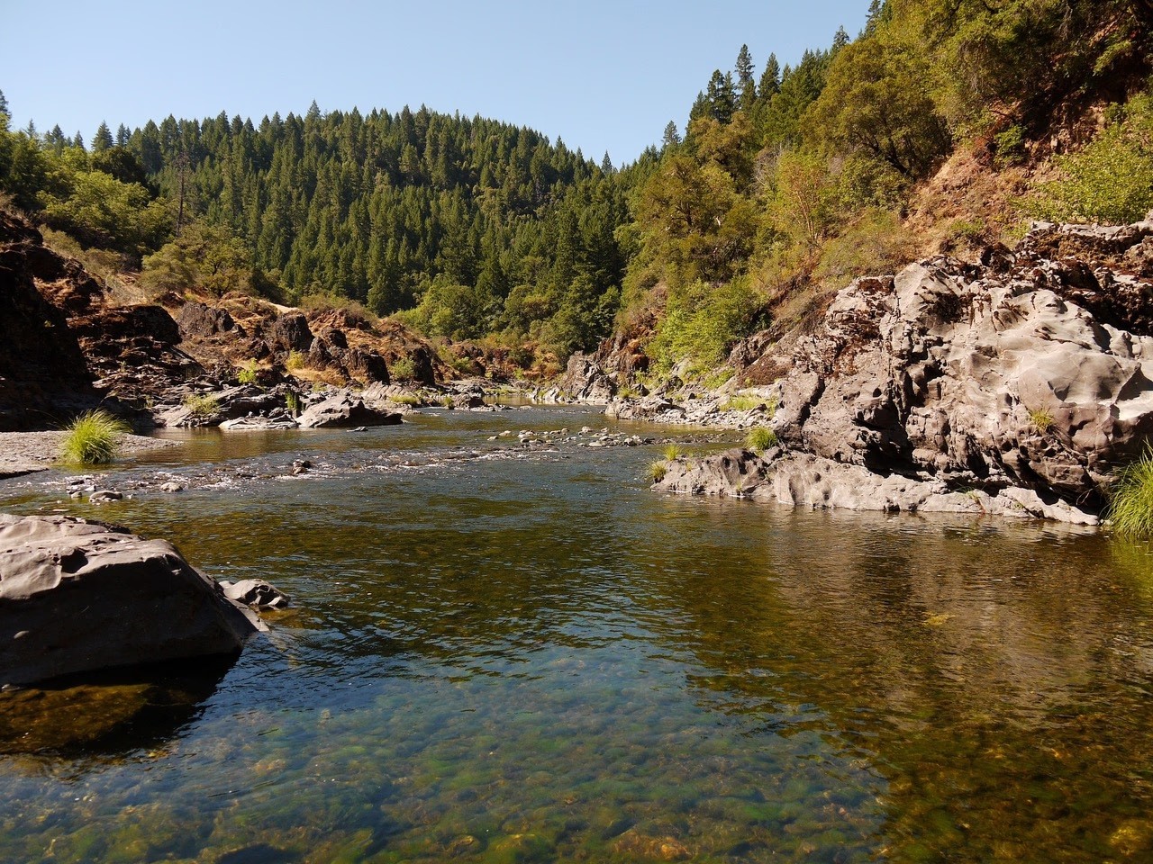 Photo by: CalWild staff