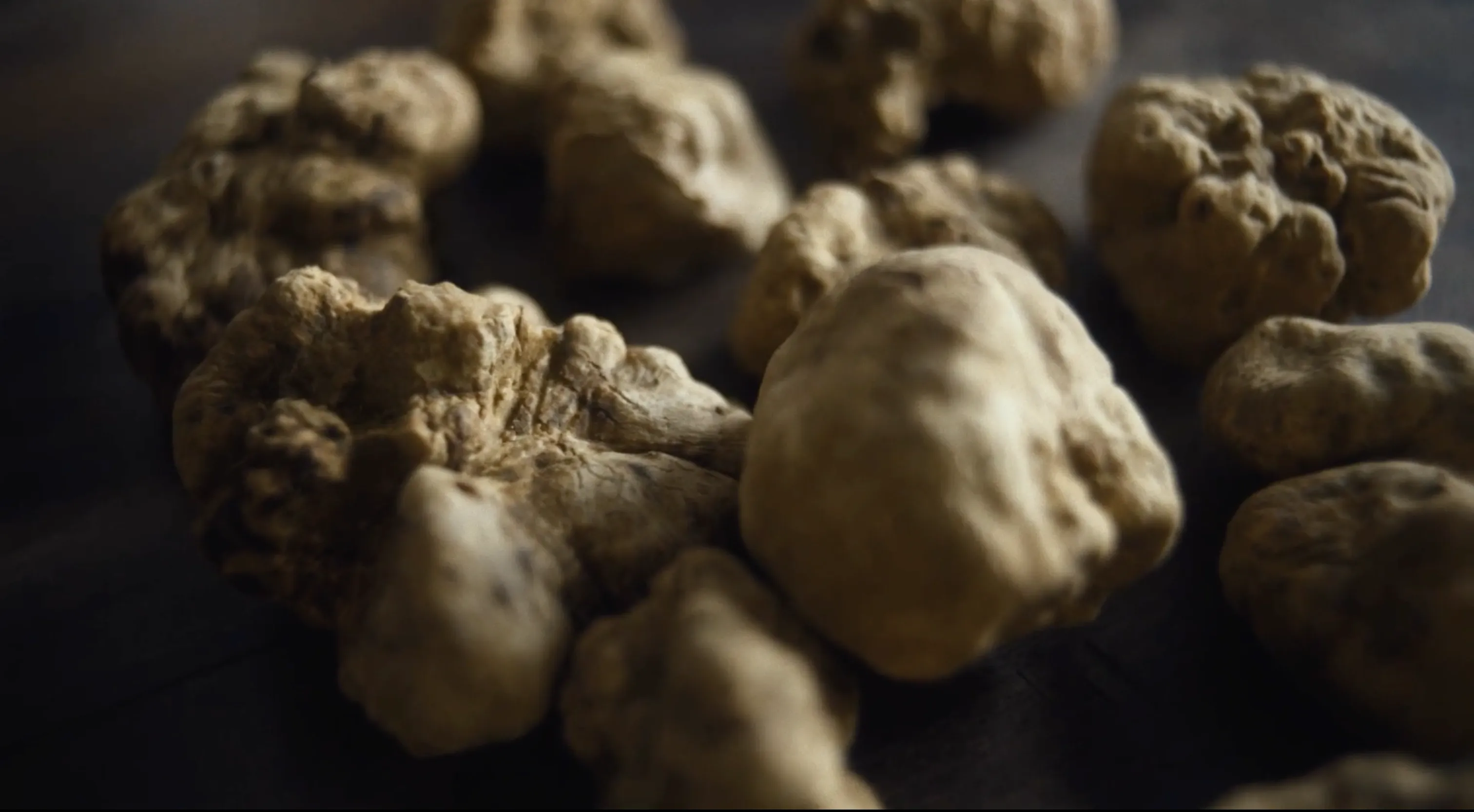 The White Truffle para Maison de la Truffe x Nowness: tercer fotograma de contenido multimedia que muestra escena documental con paisaje, tradición y luz suave.