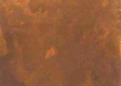 Stain Color Samples - Antique Brown On White