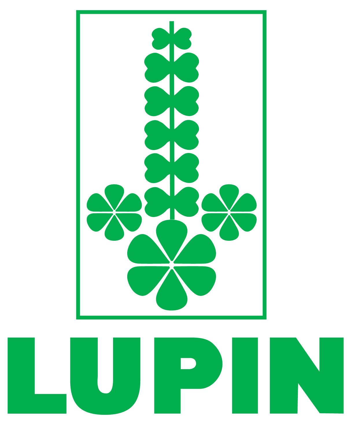 Lupin