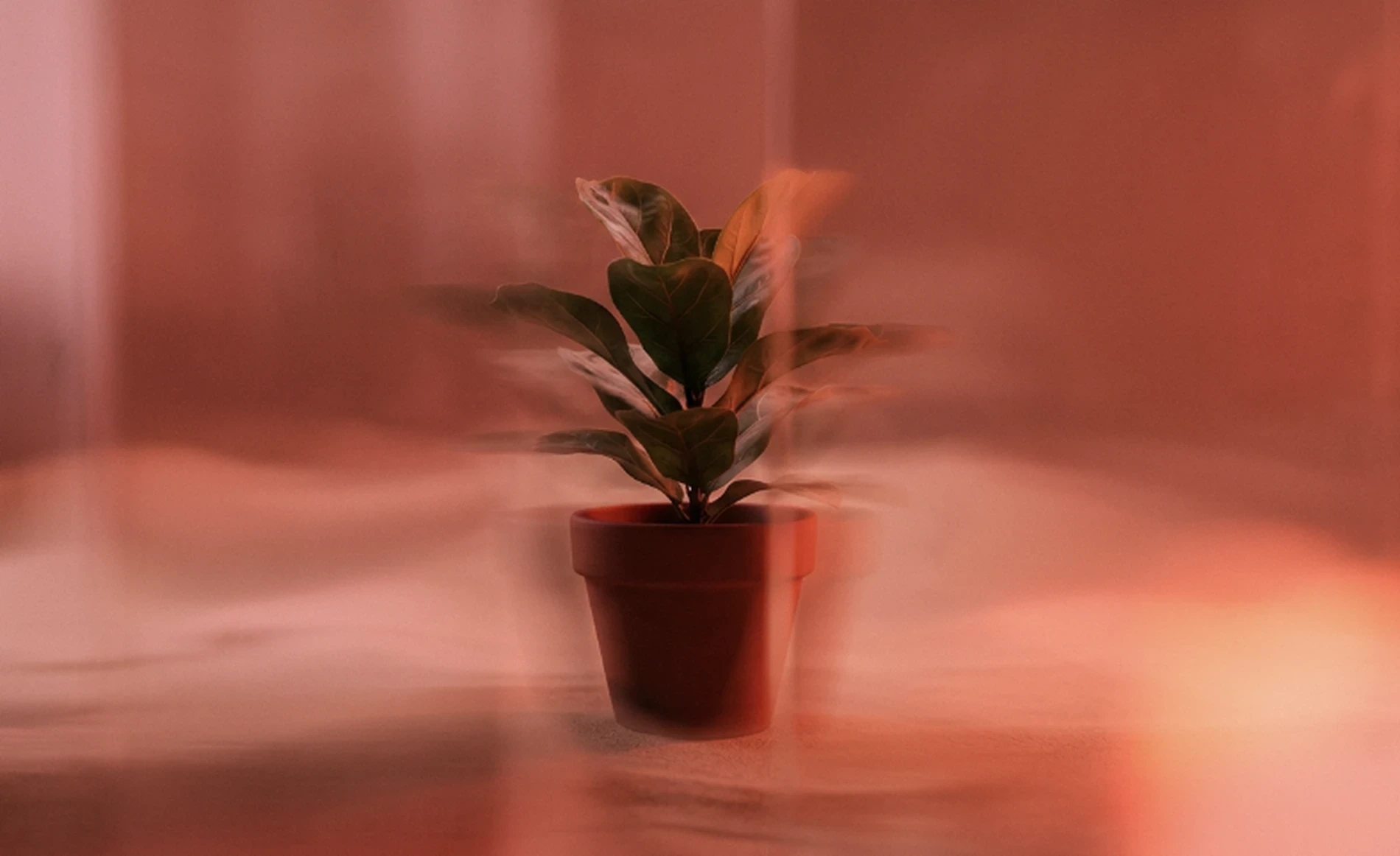 Abstrakt terracotta mynd