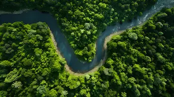 Meandro de rio desde plano cenital