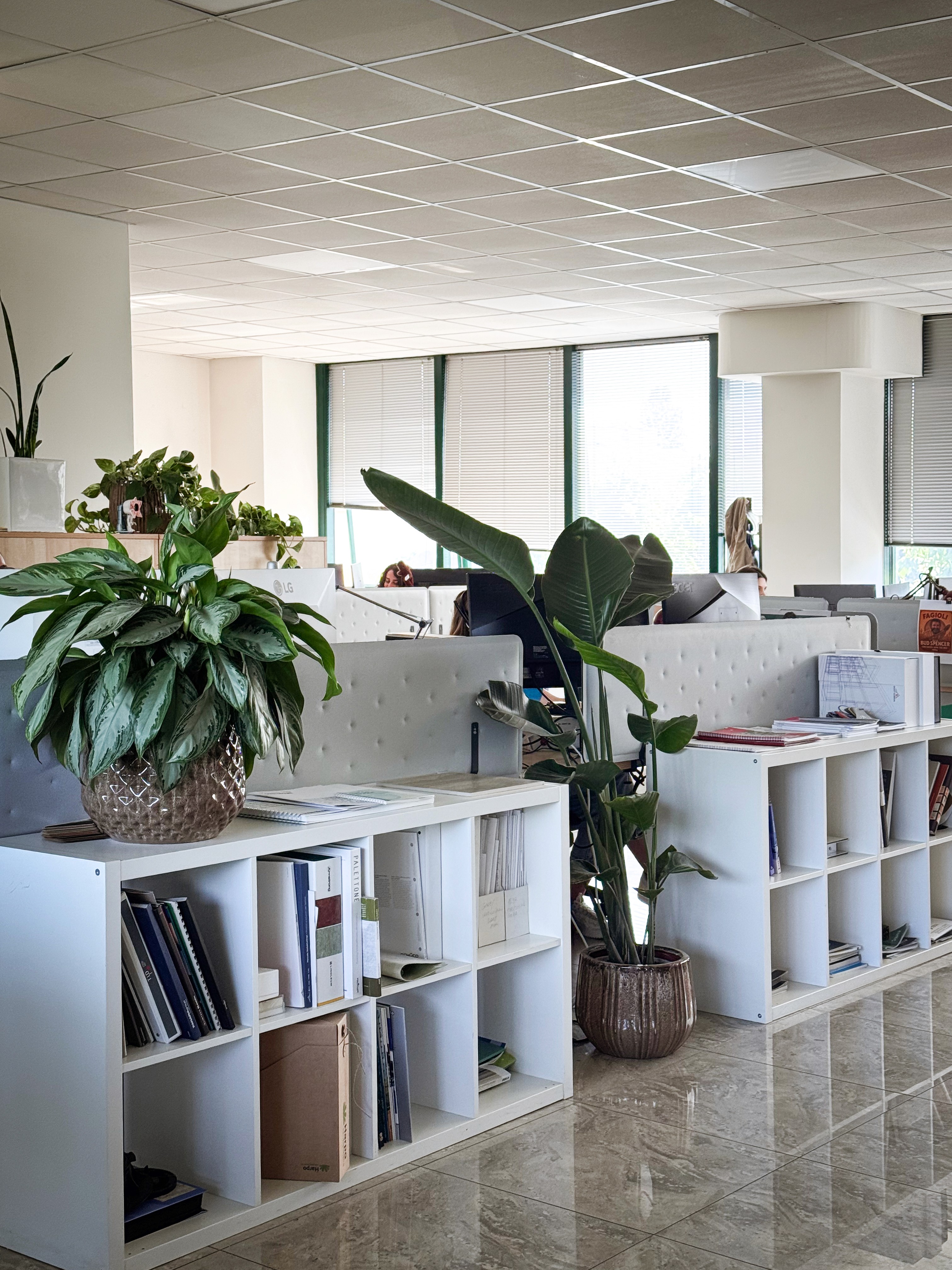 Main Bologna Ingegneria Architettura Management edifici costruzione direzione lavori gare