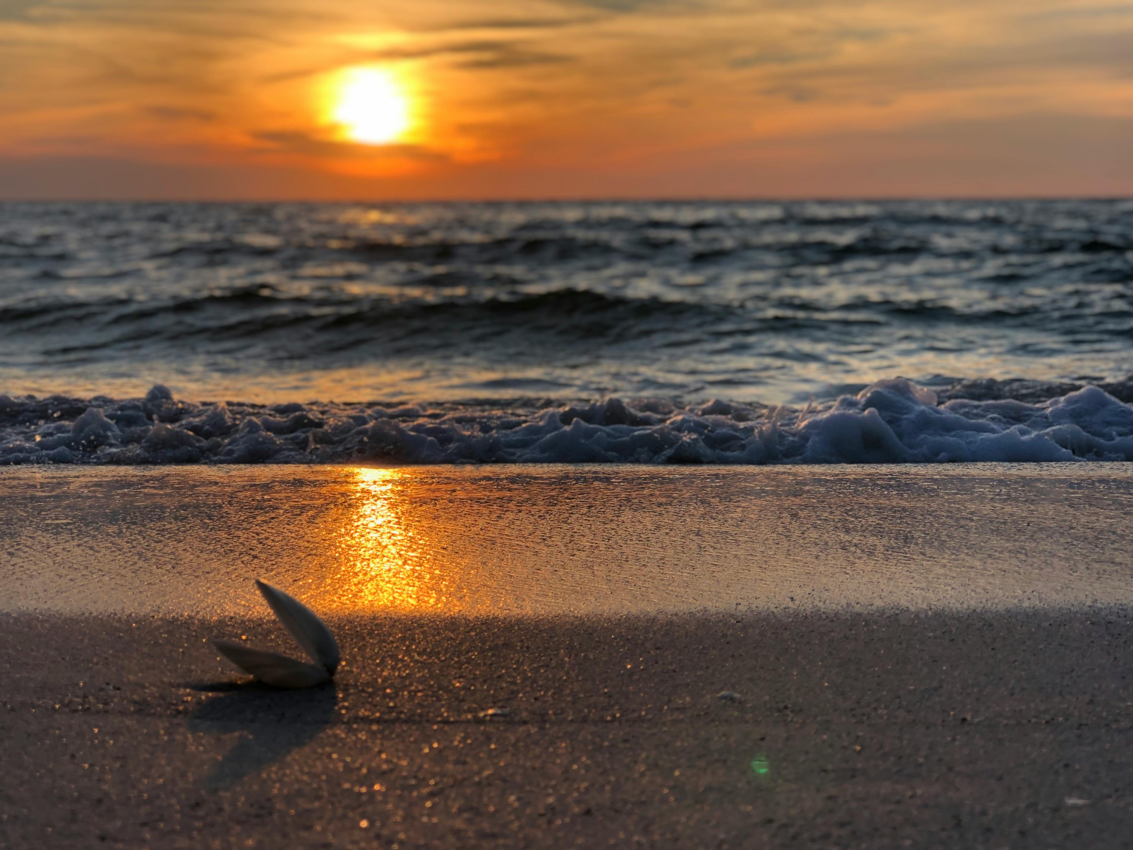 Beach image in florida