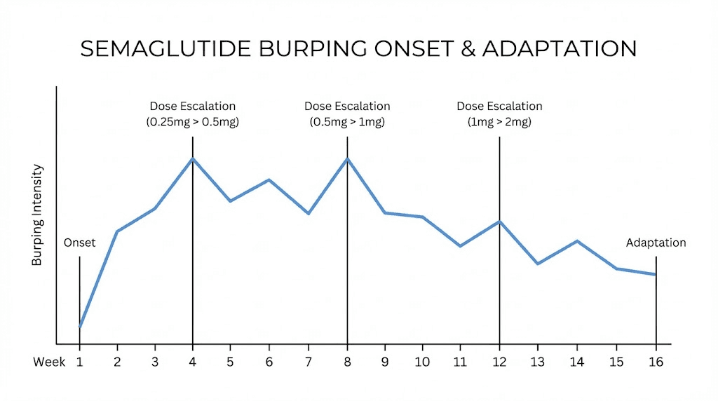 Semaglutide burping timeline from first dose through adaptation