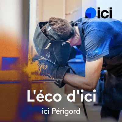 ici perigord skinmed radio