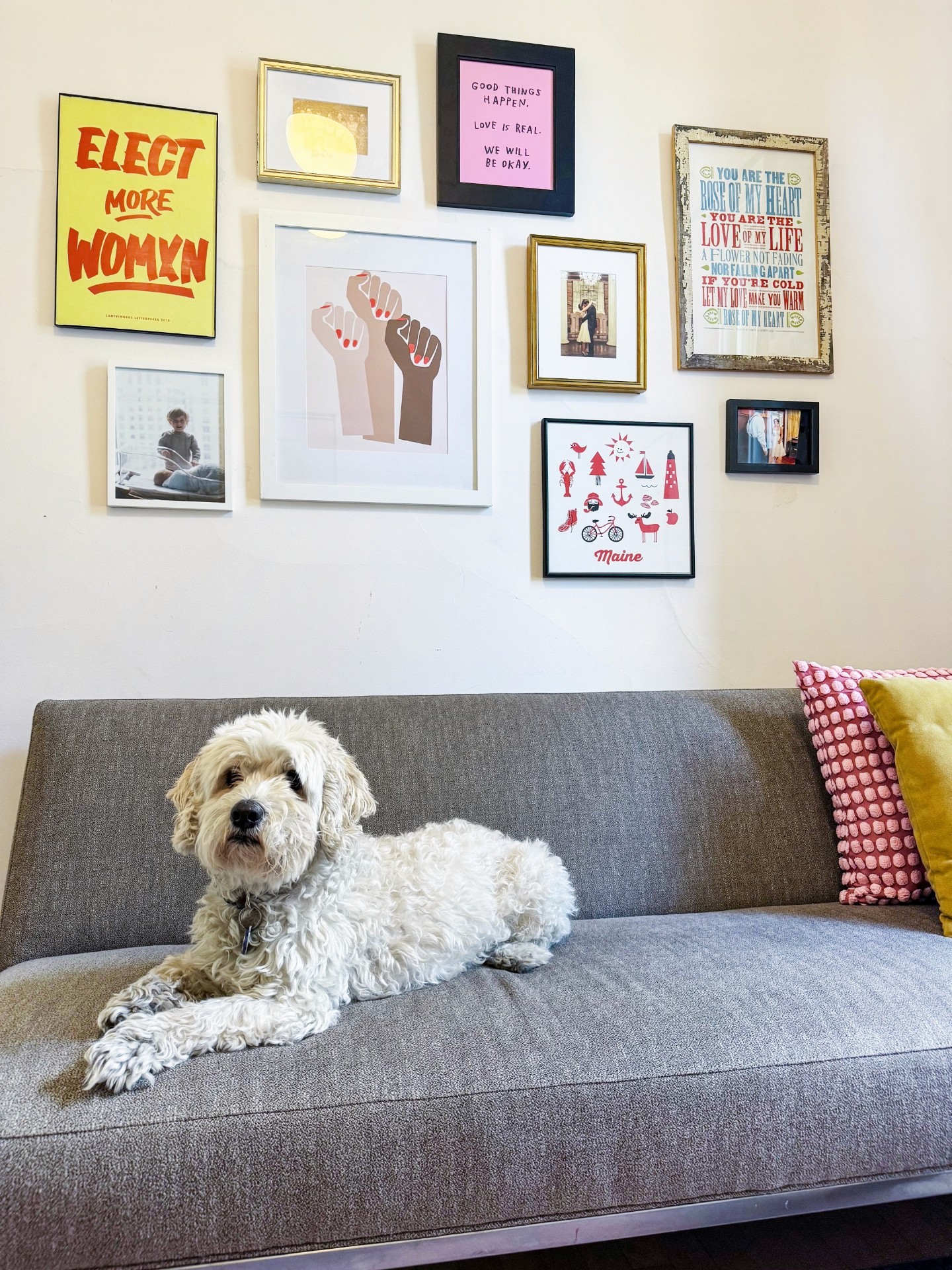 white puppy on gray couch with modern gallery wall 