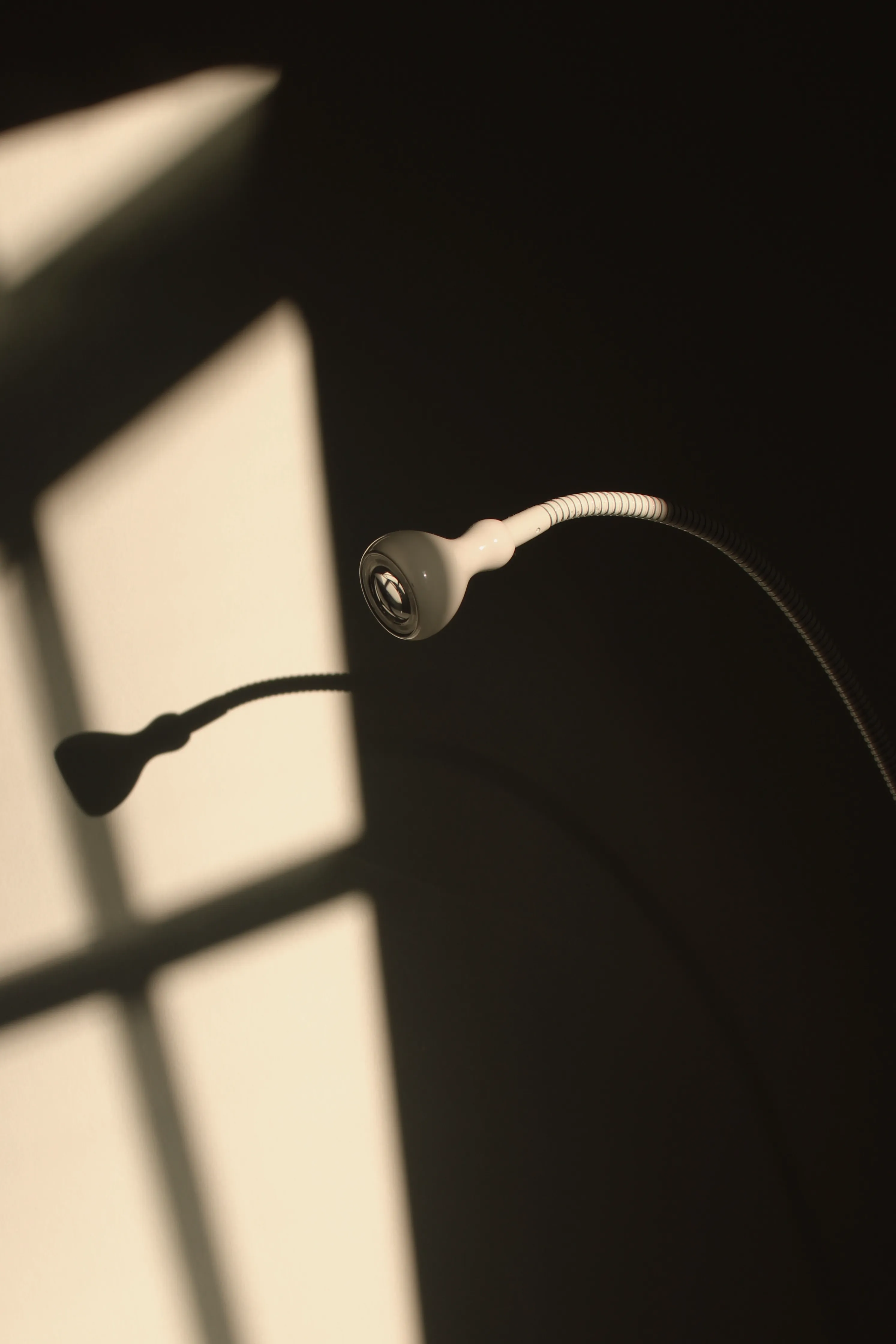 A scene of a floor lamp