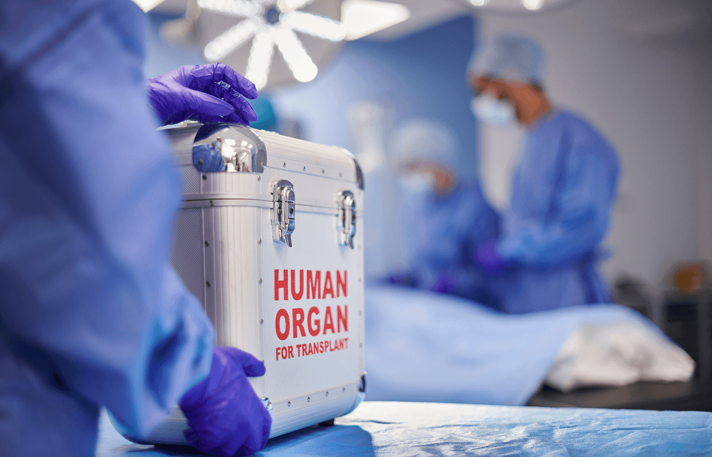 organ transplant surgery