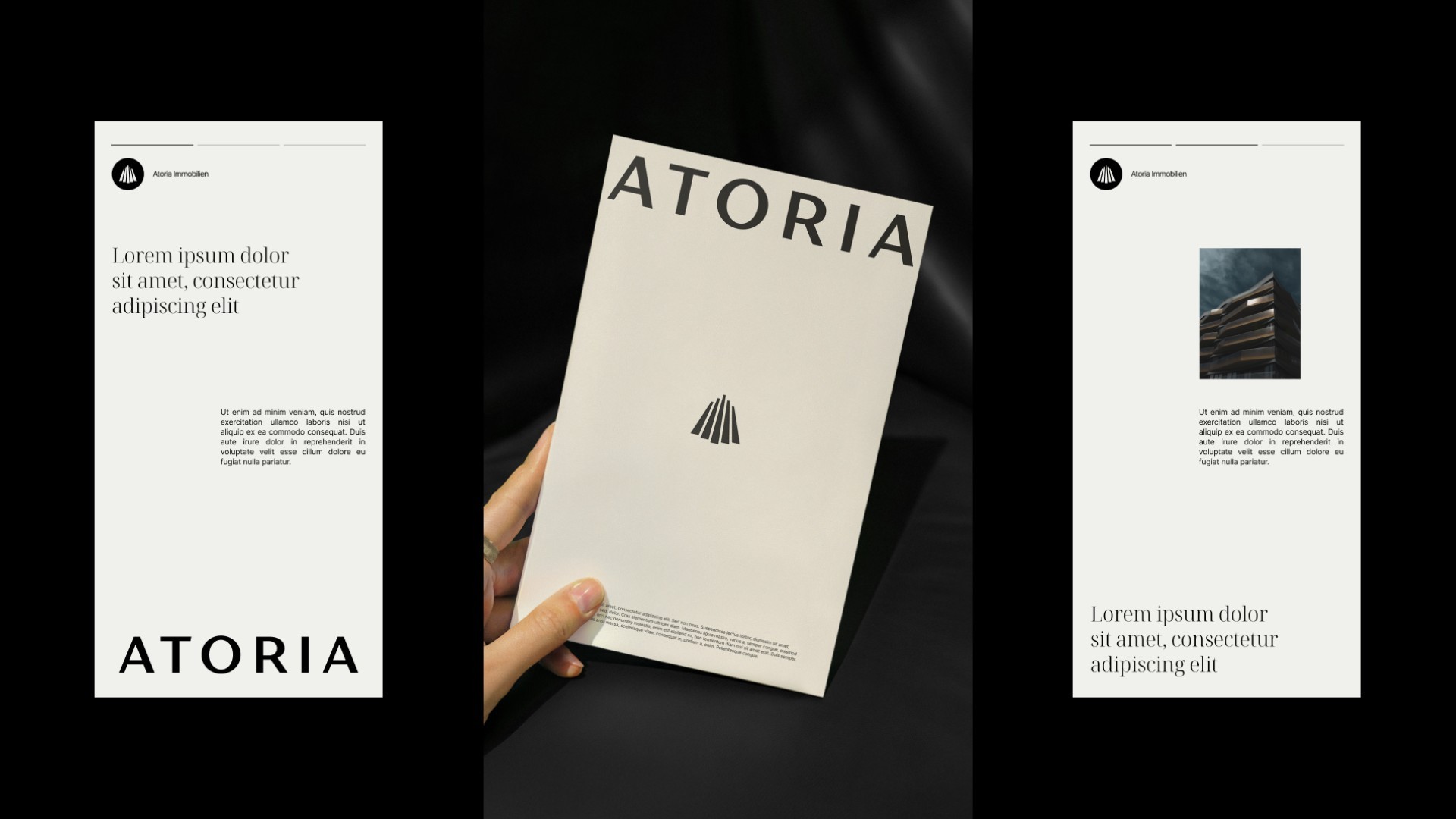 Dom Pérignon vineyards from the sky