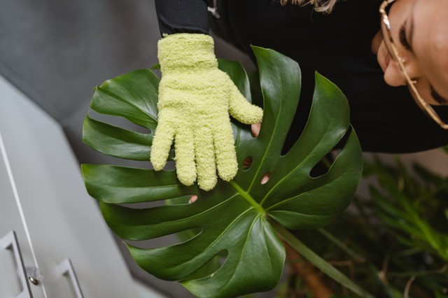 dbanie o rośliny po realizacji office jungle