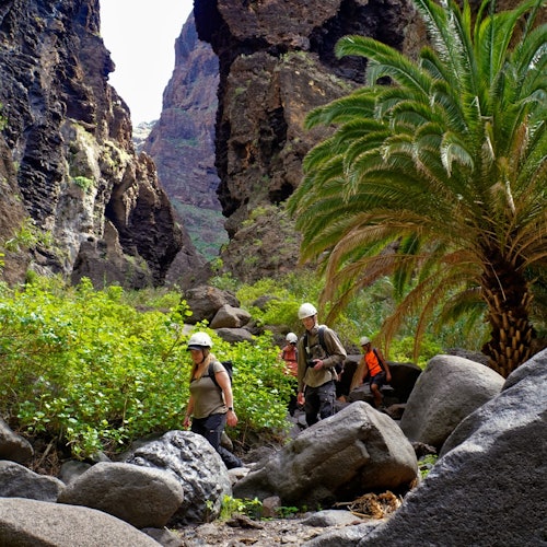 Group of hikers traversing the bottom of the ravine