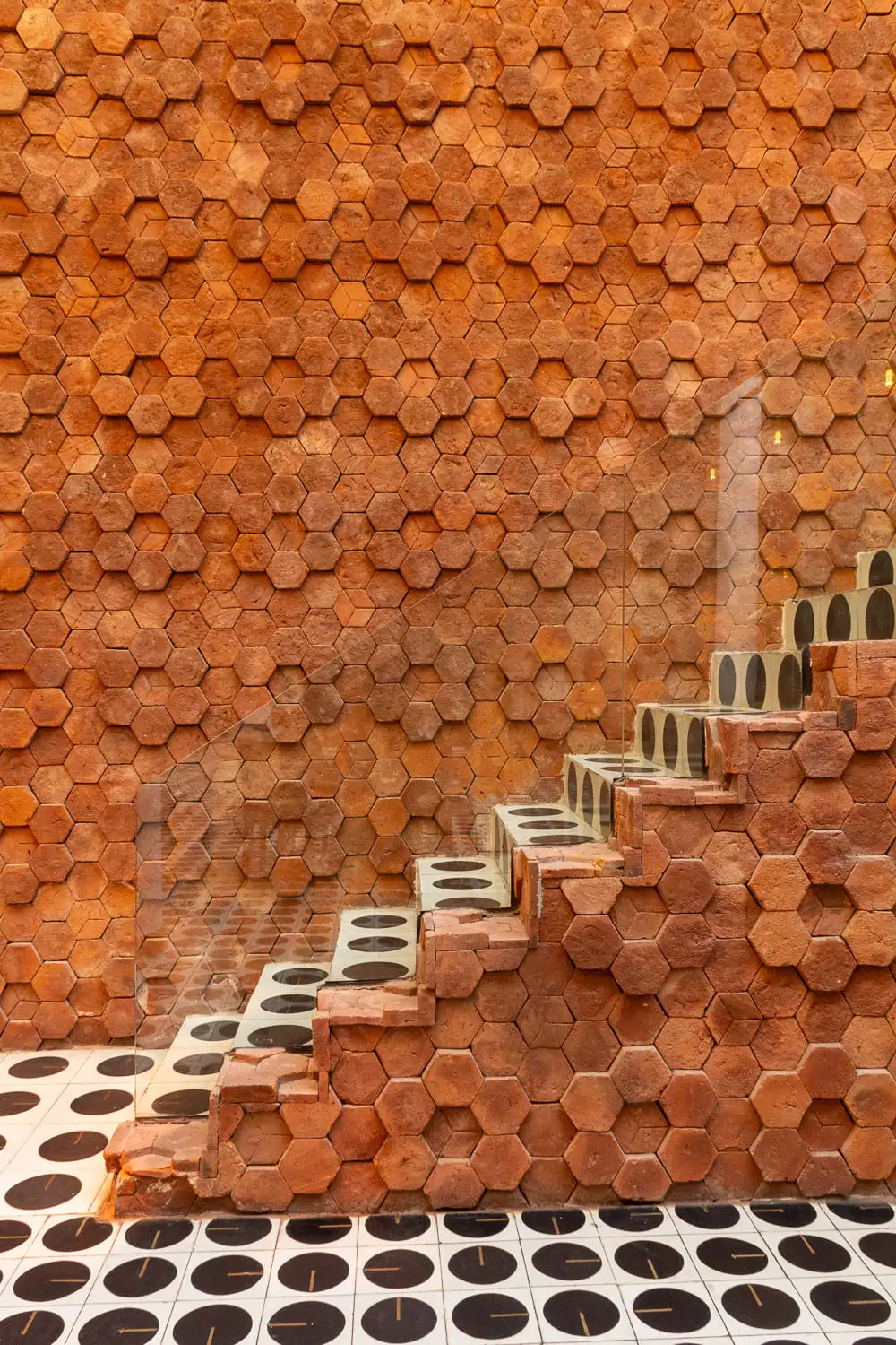 Octo Photo by Renee G. Gudiño