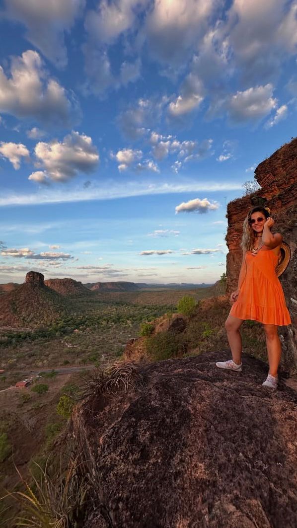 tree in a desert field