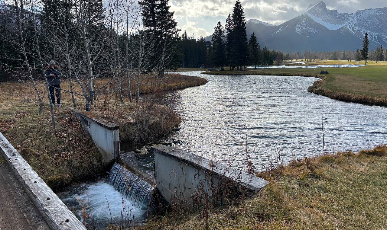 Aerial perspective of Widowmaker parking facility and river access trail surrounded by forest