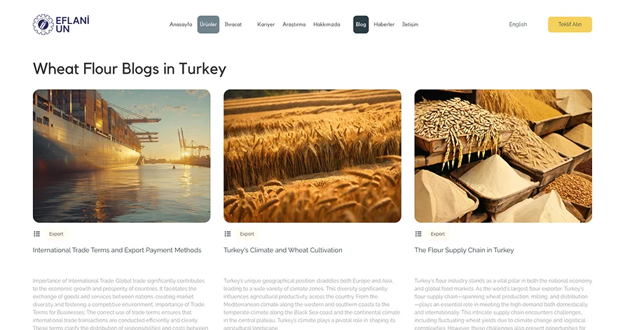 website mockup blog