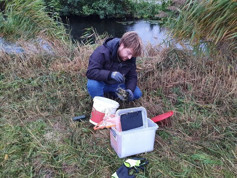 Werken bij Blom Ecologie