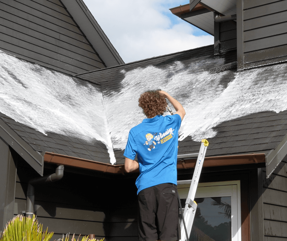 asher performing roof treatments in auckland