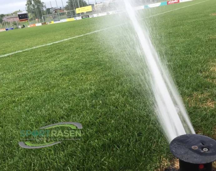 Richtig wässern will gelernt sein