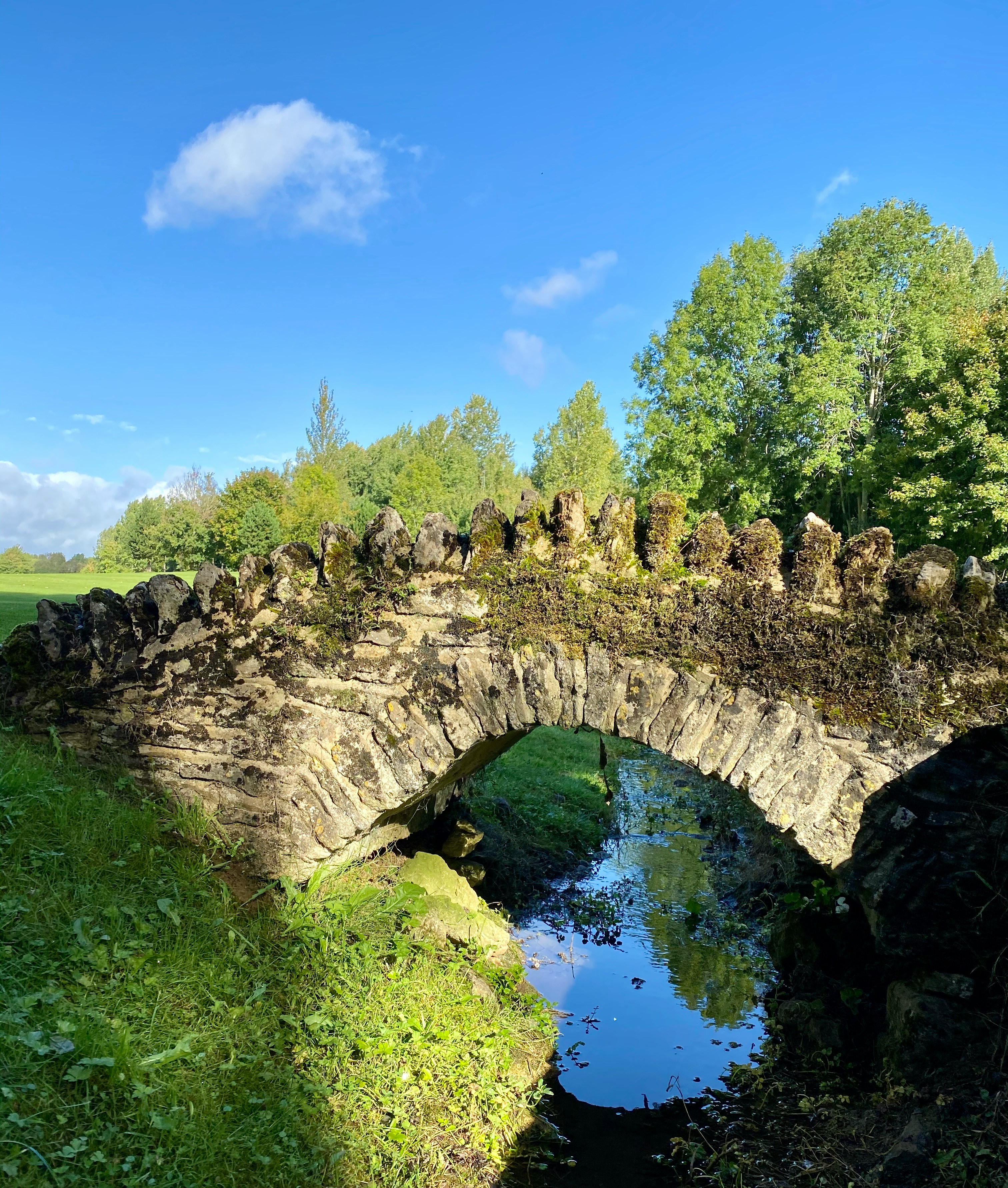 Swindon natural landscape