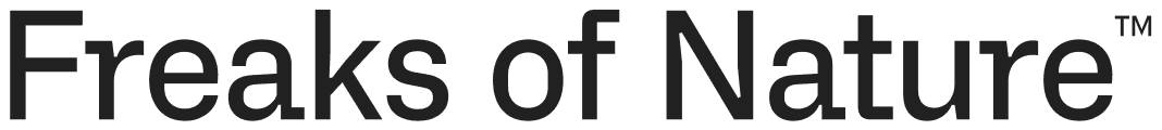 logo ifit