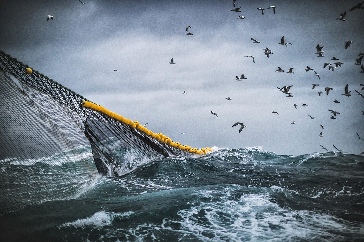 Fishing net in the sea with waves and seagulls in the sky