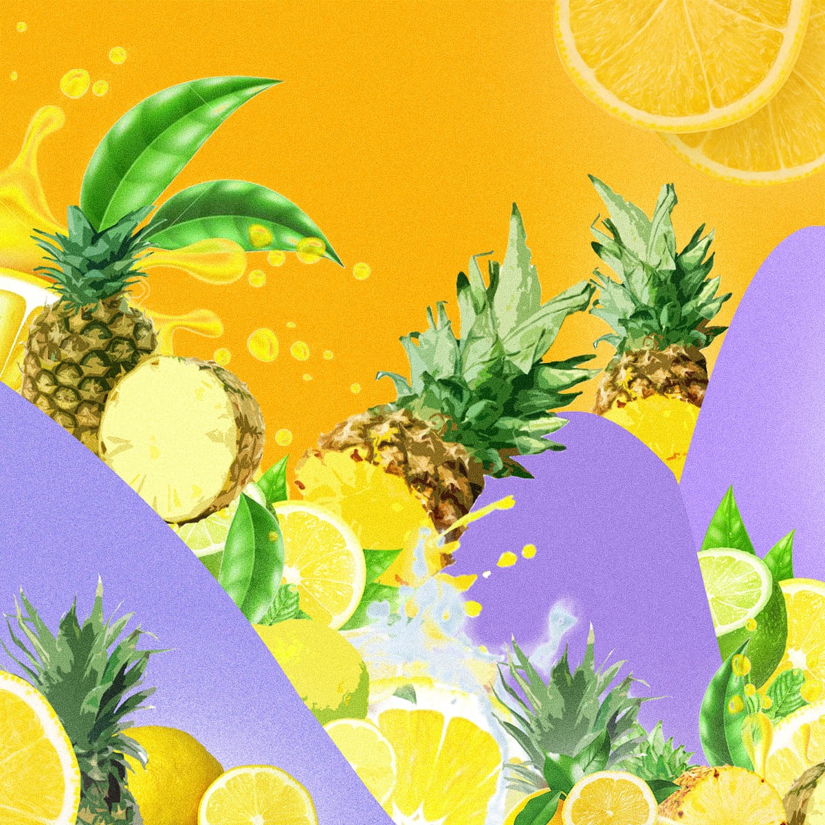 Tropical fruit illustration system developed for Gusteau beverage brand packaging design