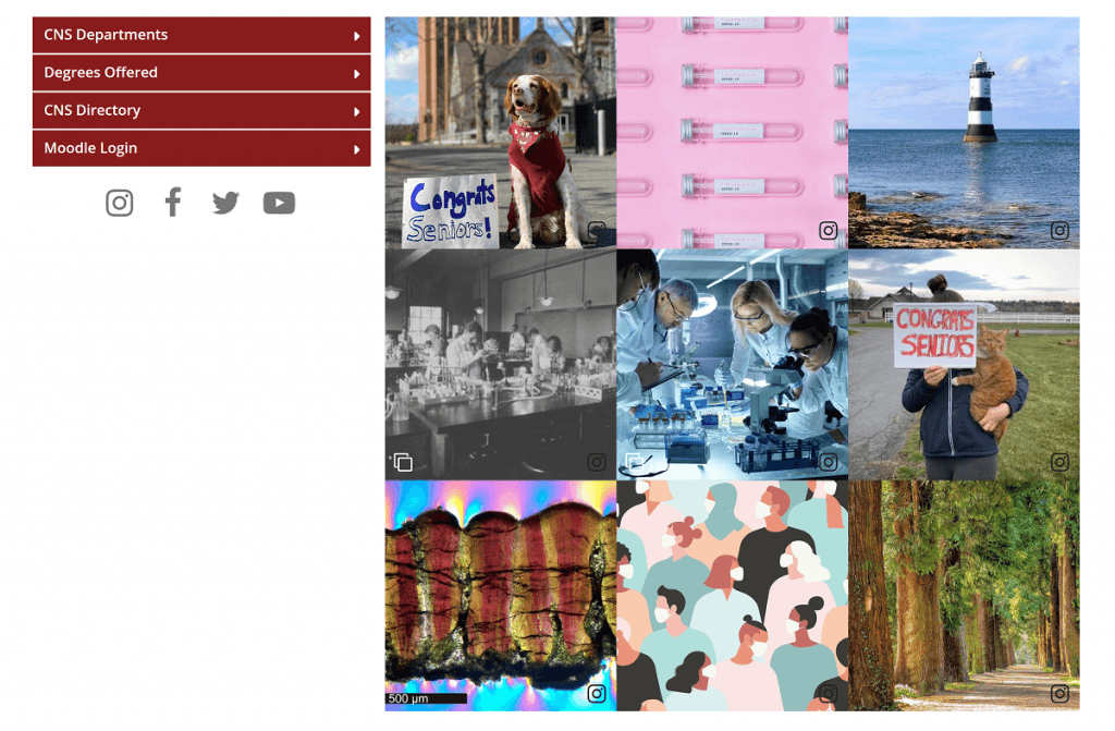 instagram wall example