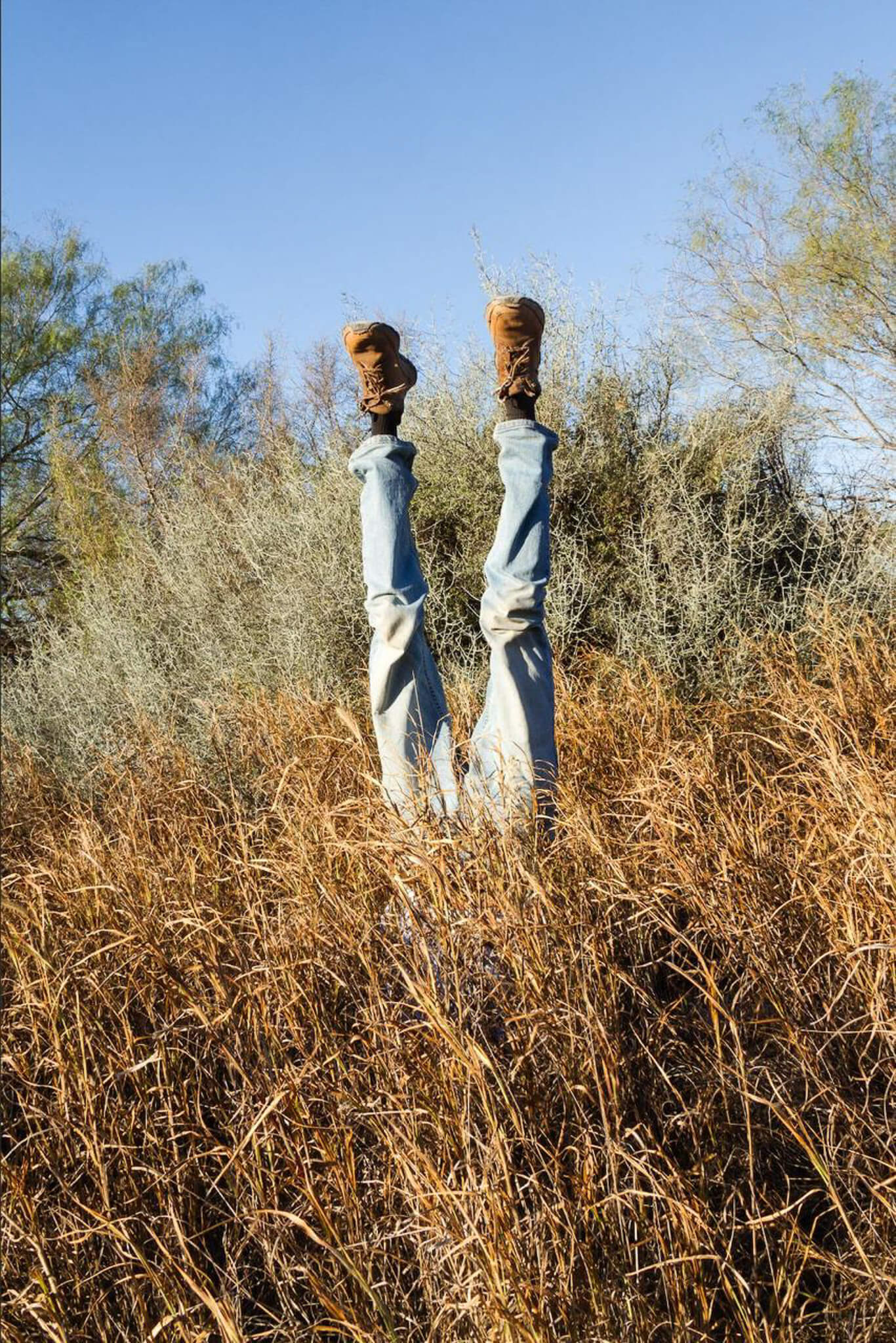 voy a cantar canciones sin letra galería emma molina made week 2025 Arte y diseño en Monterrey