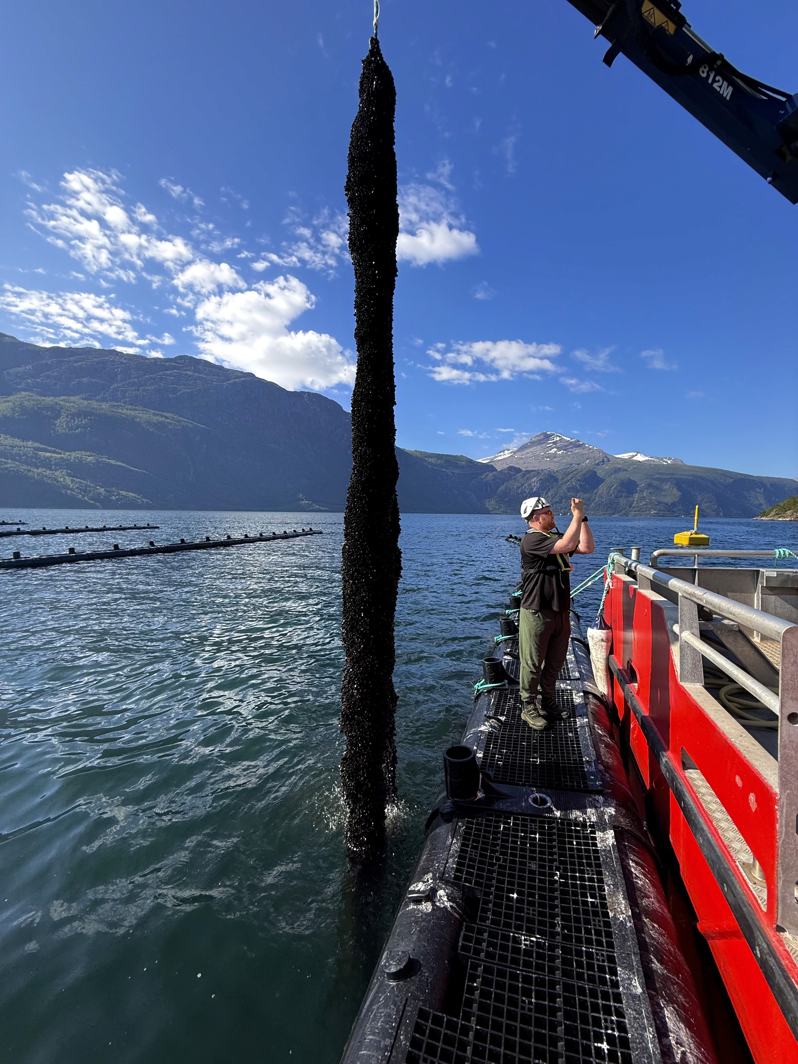 A person wearing a virtual reality headset stands in front of multiple screens, engaged in a digital experience.